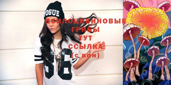 ГАЛЛЮЦИНОГЕННЫЕ ГРИБЫ Инсар