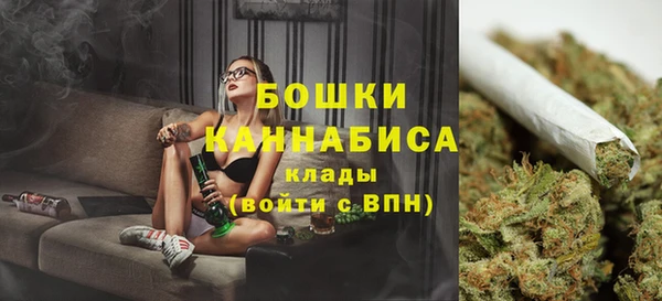 ГАЛЛЮЦИНОГЕННЫЕ ГРИБЫ Инсар